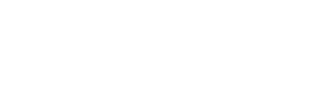 A Swarm of the Sun logo white